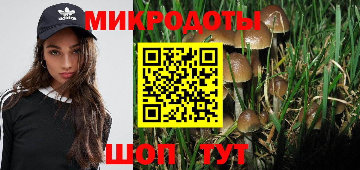 Галлюциногенные грибы Psilocybine cubensis Можга