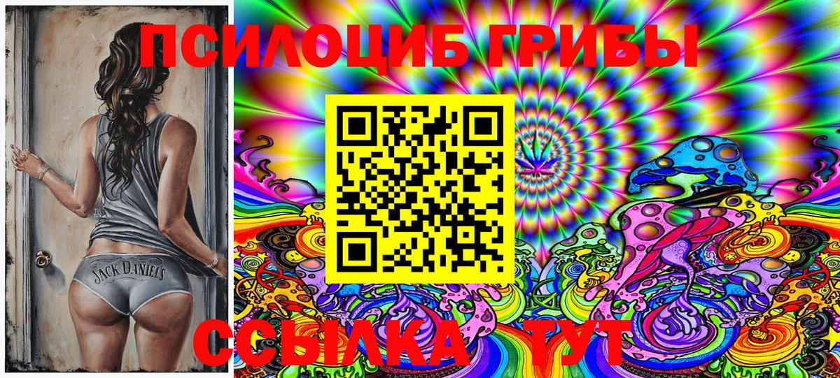 Псилоцибиновые грибы GOLDEN TEACHER  Вход с VPN  Галлюциногенные грибы Cubensis  Можга 
