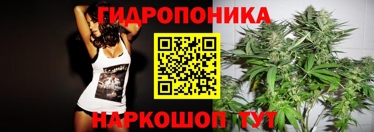 Бошки марихуана VHQ Можга